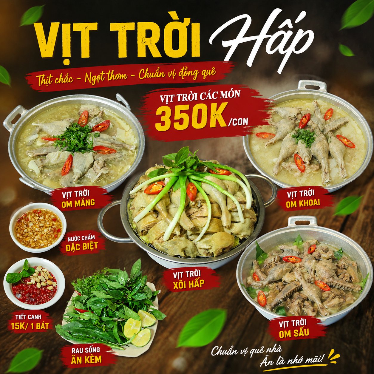 Vịt trời các món om – hấp